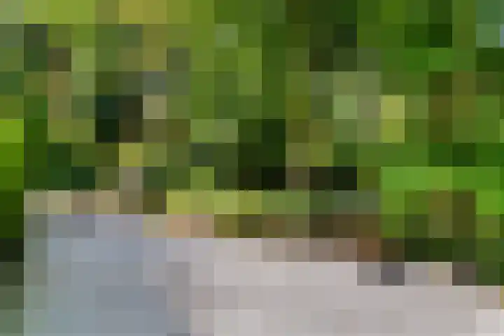 Gerard Doulaan 36 Bilthoven thumbnail 7