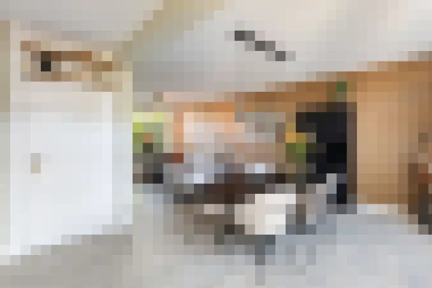 Gerard Doulaan 4 Woudenberg thumbnail 18