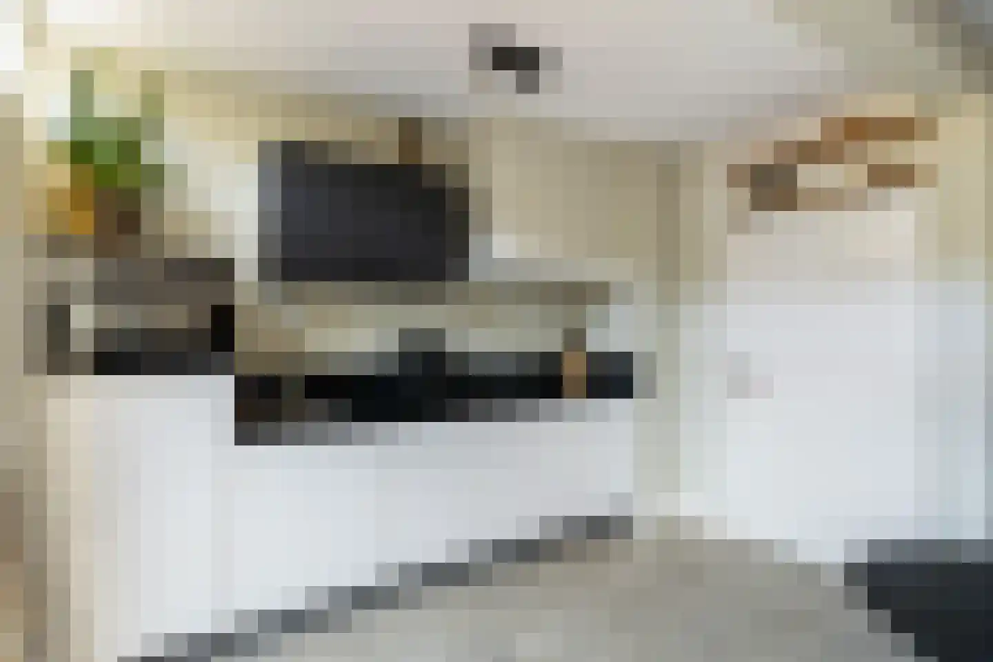 Gerard Doulaan 4 Woudenberg thumbnail 22