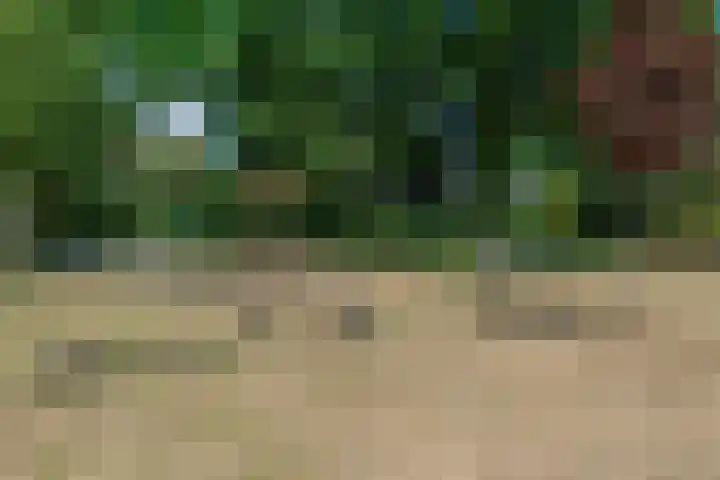 Gerard Doulaan 41 Muiderberg thumbnail 35
