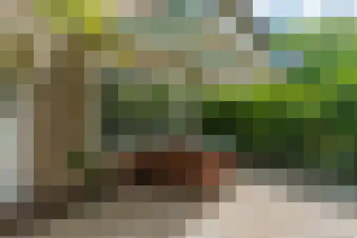 Gerard Doulaan 41 Muiderberg thumbnail 4