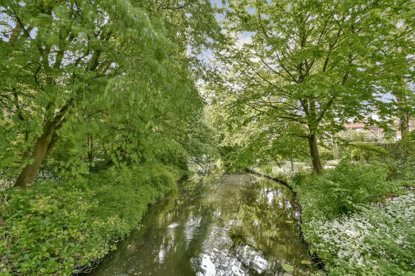 Gerard Doulaan 58 Amstelveen thumbnail 34