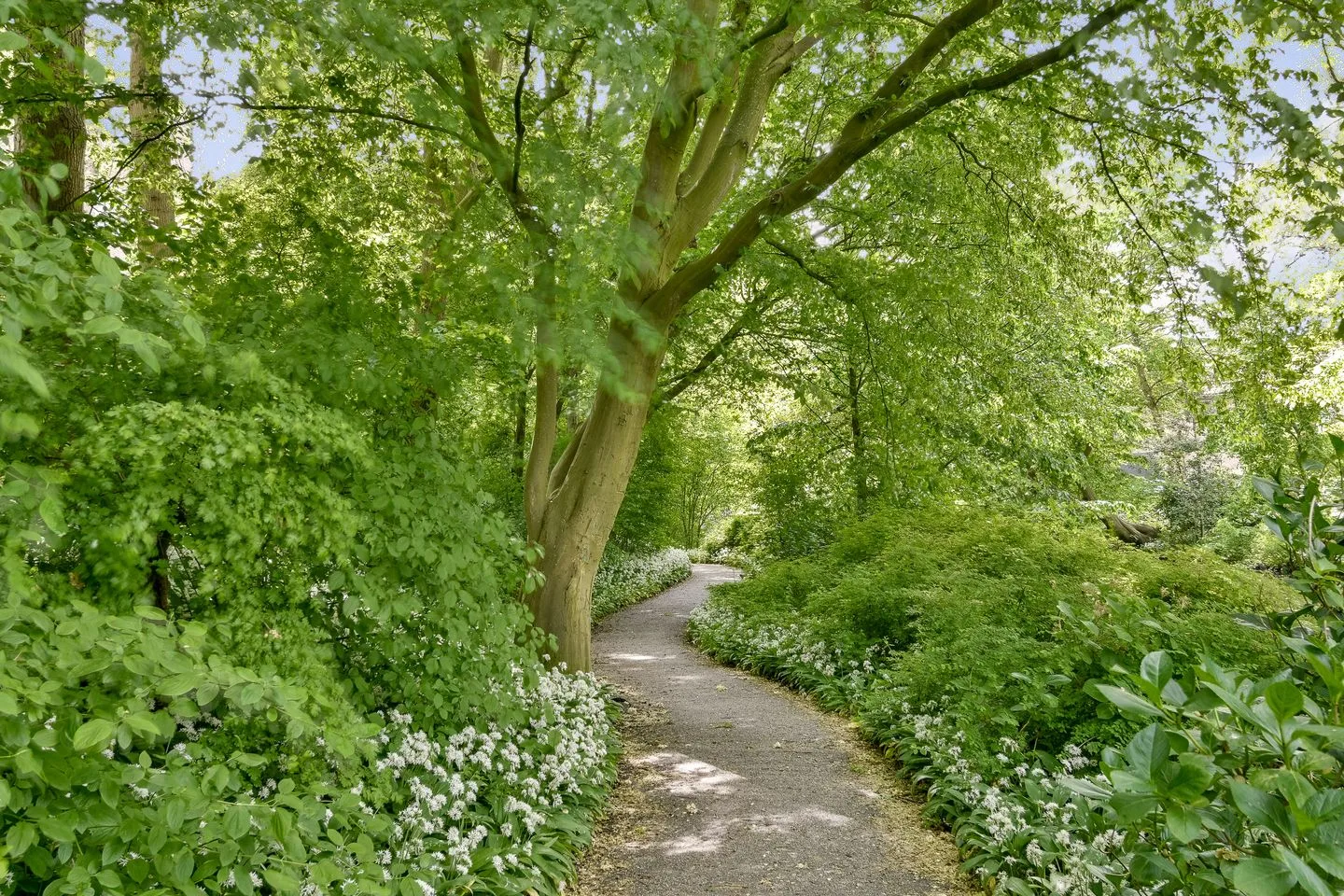 Gerard Doulaan 58 Amstelveen thumbnail 36