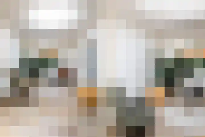 Gerard Doulaan 6 Muiderberg thumbnail 10