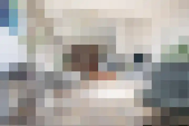 Gerard Doulaan 6 Muiderberg thumbnail 11