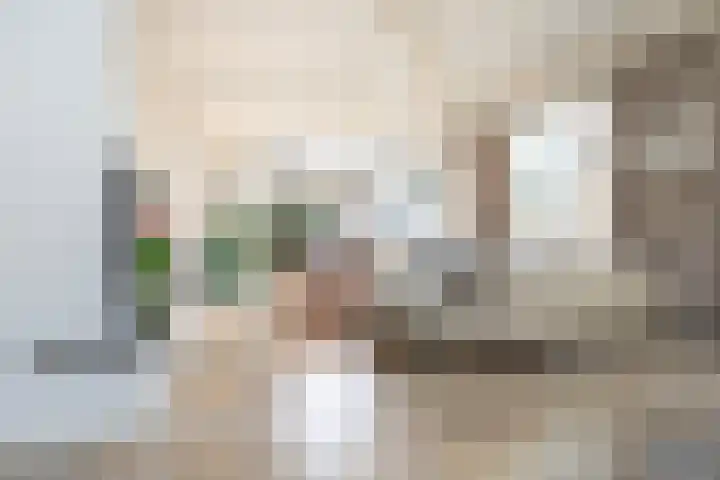Gerard Doulaan 6 Muiderberg thumbnail 13