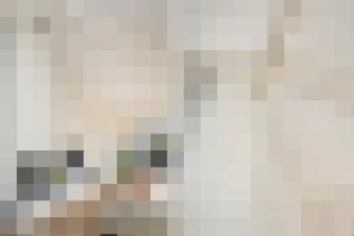 Gerard Doulaan 6 Muiderberg thumbnail 14
