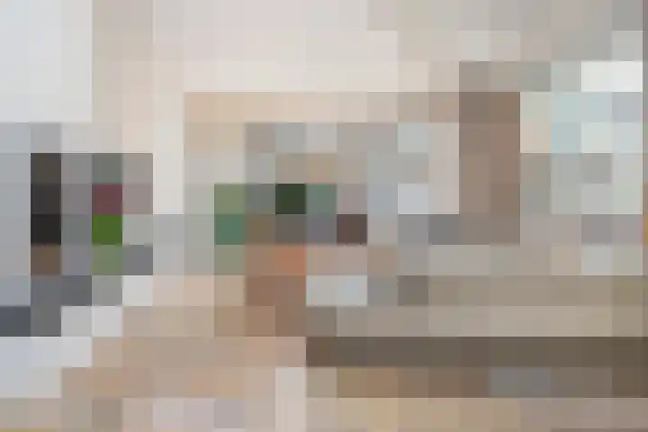 Gerard Doulaan 6 Muiderberg thumbnail 16