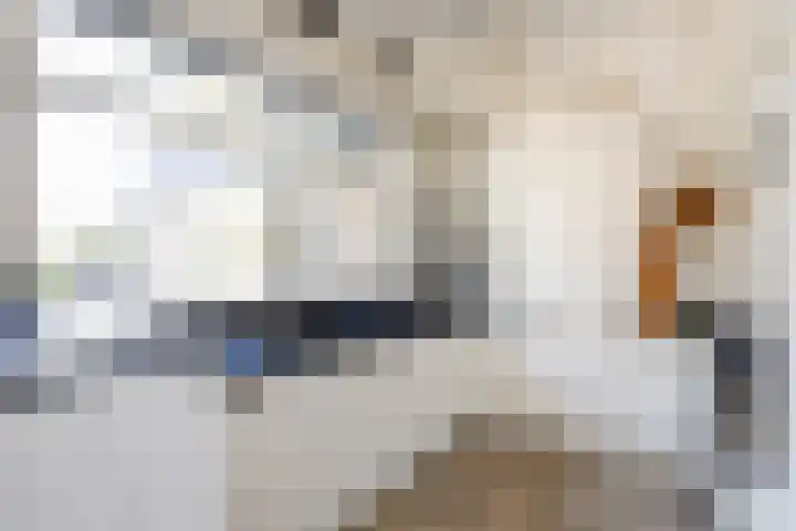 Gerard Doulaan 6 Muiderberg thumbnail 20