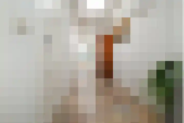 Gerard Doulaan 6 Muiderberg thumbnail 36