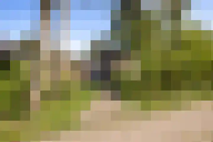 Gerard Doulaan 6 Muiderberg thumbnail 49