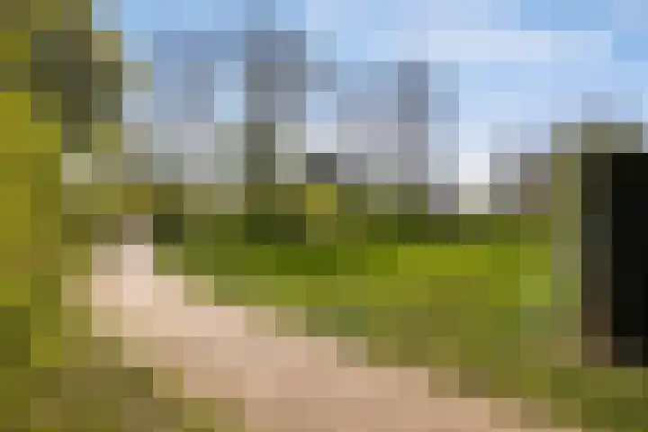 Gerard Doulaan 6 Muiderberg thumbnail 50