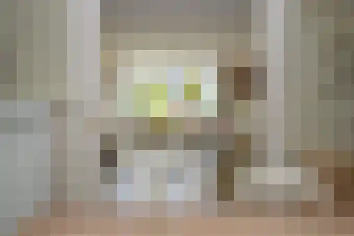 Gerard Doulaan 6 Woudenberg thumbnail 11