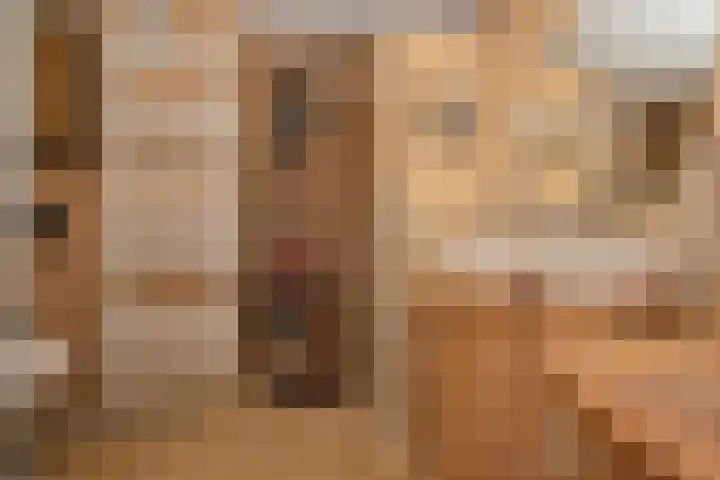 Gerard Doulaan 6 Woudenberg thumbnail 23