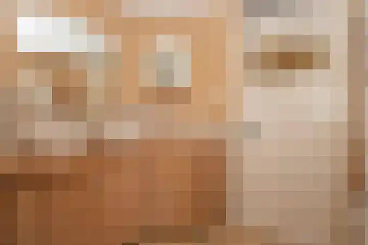 Gerard Doulaan 6 Woudenberg thumbnail 24
