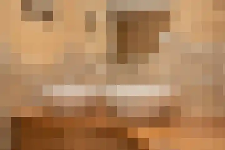 Gerard Doulaan 6 Woudenberg thumbnail 25