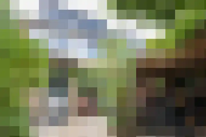 Gerard Doulaan 6 Woudenberg thumbnail 29