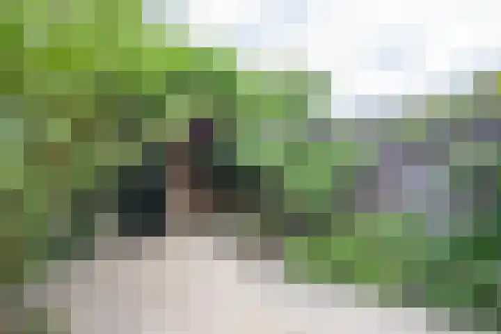 Gerard Doulaan 6 Woudenberg thumbnail 33