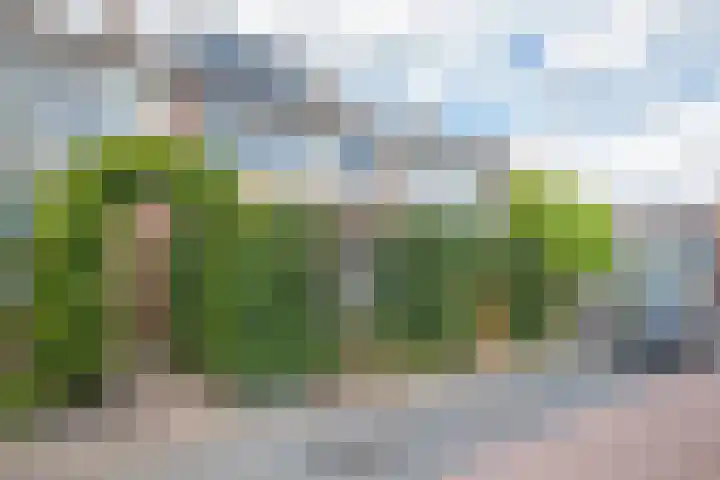 Gerard Doulaan 6 Woudenberg thumbnail 36