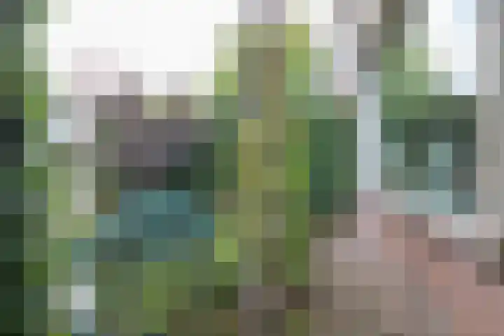 Gerard Doulaan 6 Woudenberg thumbnail 38