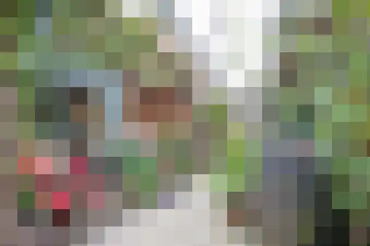 Gerard Doulaan 6 Woudenberg thumbnail 4