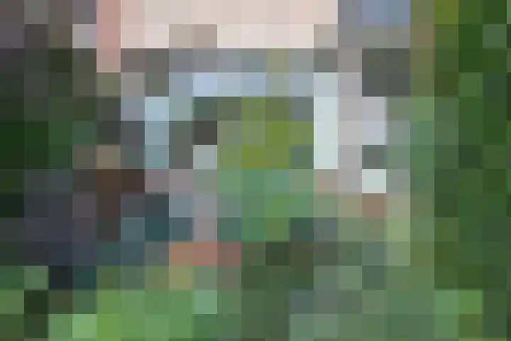 Gerard Doulaan 6 Woudenberg thumbnail 5