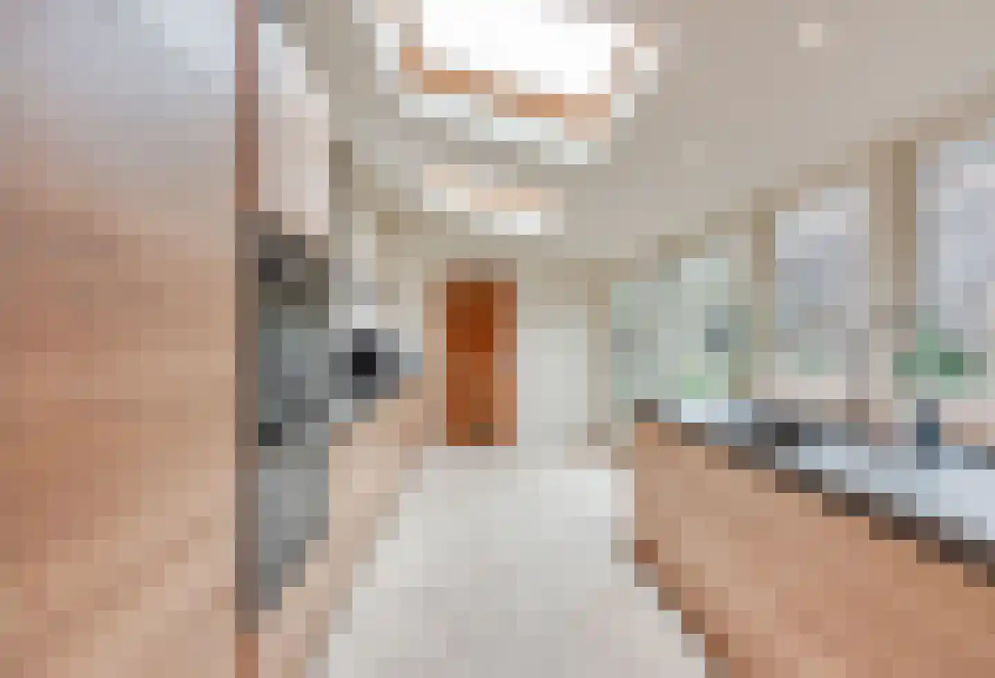 Gerard Doulaan 7 Baarn thumbnail 13