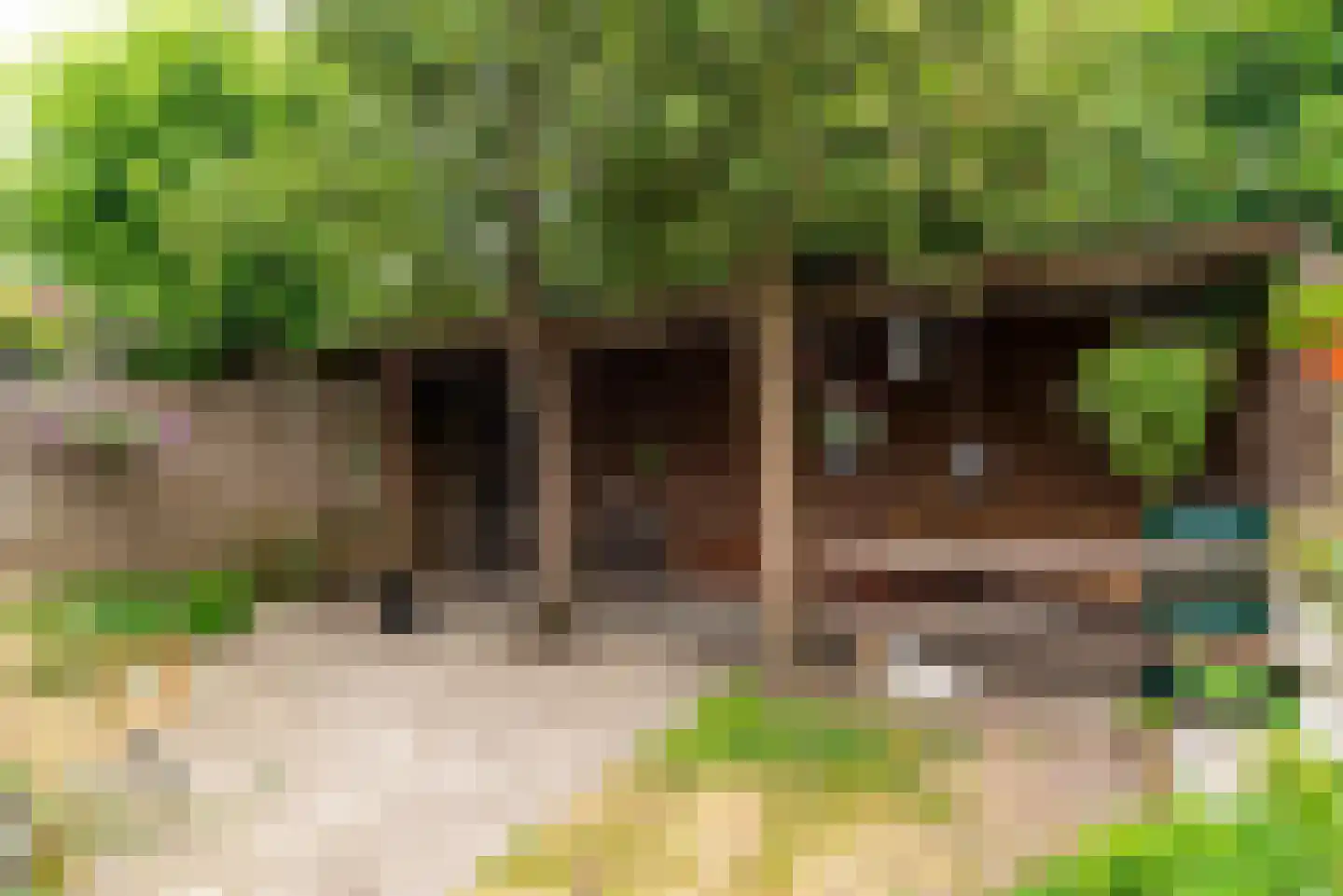 Gerard Doulaan 7 Baarn thumbnail 15