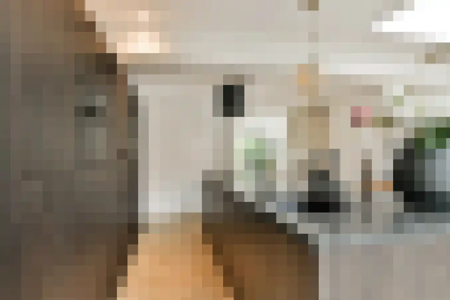 Gerard Doulaan 8 Amstelveen thumbnail 10