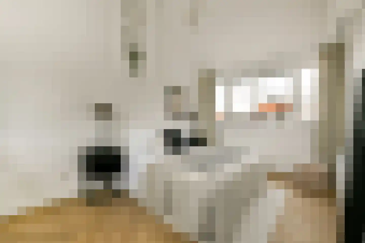 Gerard Doulaan 8 Amstelveen thumbnail 29