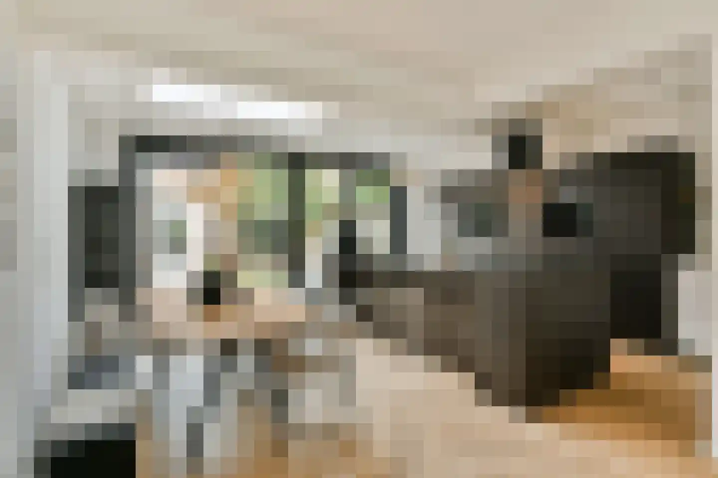 Gerard Doulaan 8 Amstelveen thumbnail 9