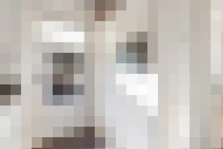 Gerard Doulaan 8 Hilversum thumbnail 13