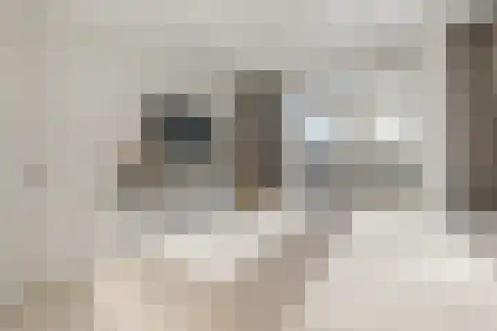 Gerard Doulaan 8 Hilversum thumbnail 19
