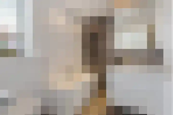 Gerard Doulaan 8 Hilversum thumbnail 28
