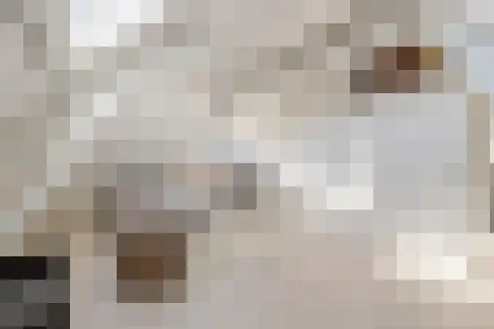 Gerard Doulaan 8 Hilversum thumbnail 31