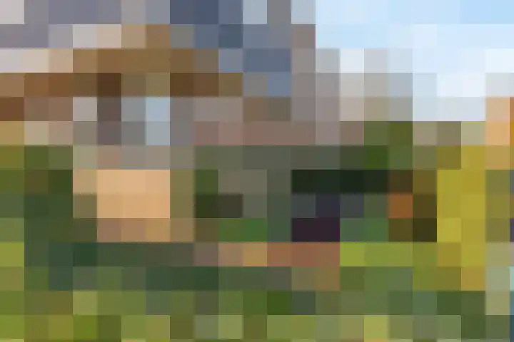 Gerard Doulaan 8 Hilversum thumbnail 40