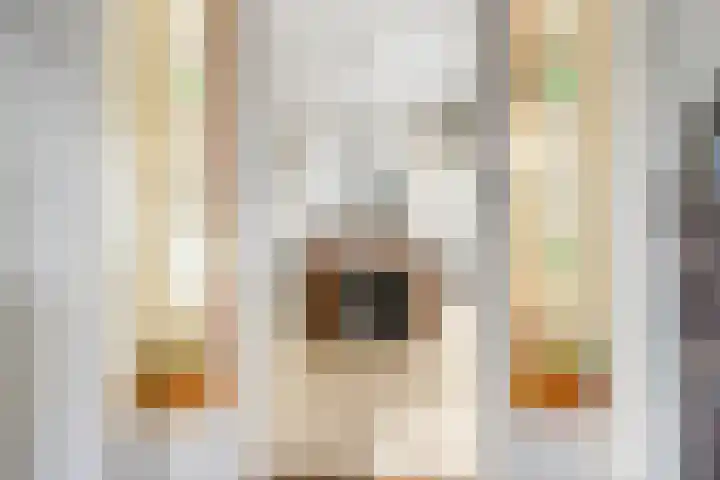 Gerard Doulaan 8 Hilversum thumbnail 5