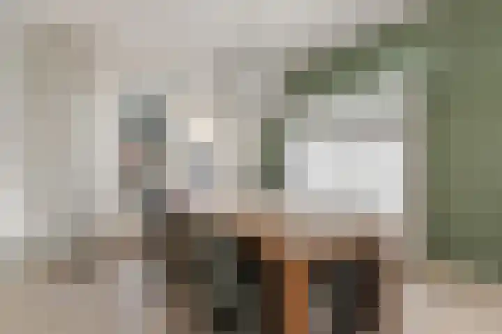 Gerard Doulaan 8 Hilversum thumbnail 6