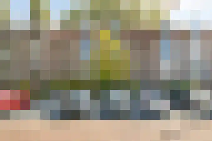 Gerard Doulaan 80 Amstelveen thumbnail 22