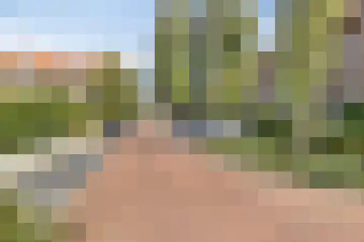 Gerard Doulaan 80 Amstelveen thumbnail 25