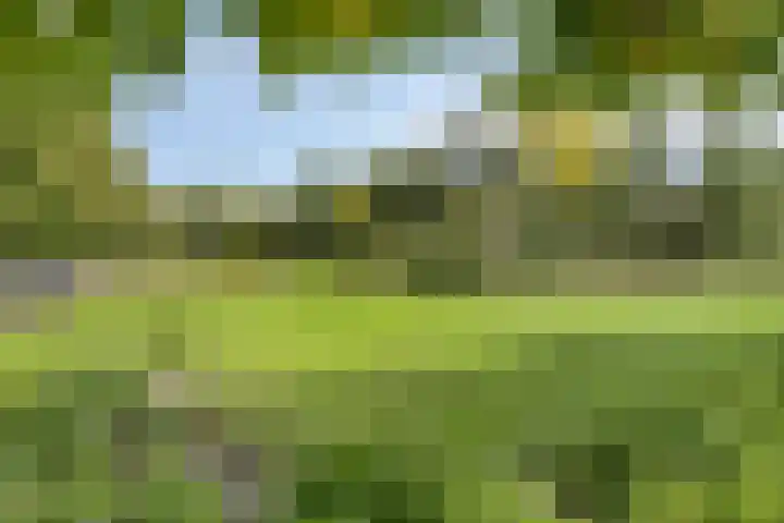 Gerard Doulaan 80 Amstelveen thumbnail 28