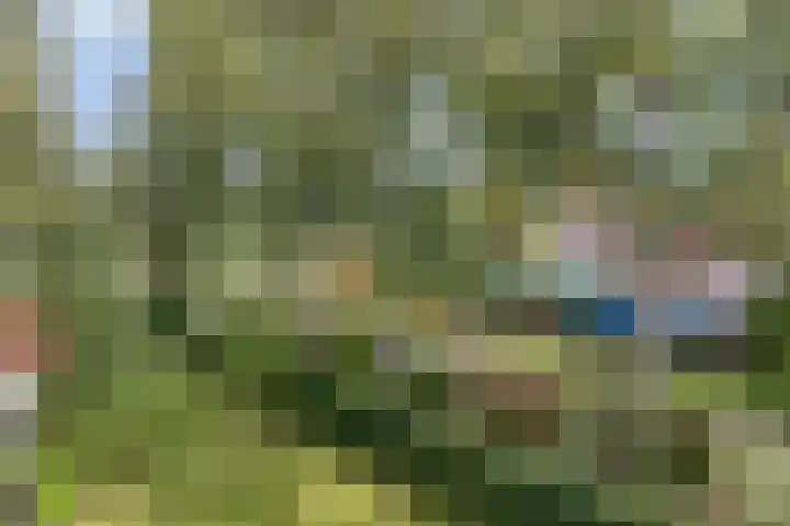 Gerard Doulaan 80 Amstelveen thumbnail 9