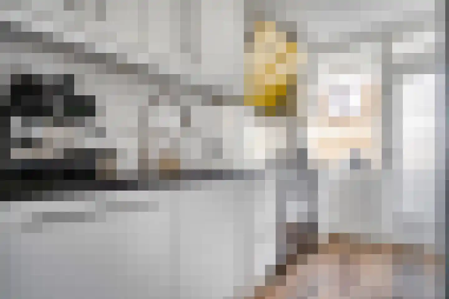 Gerard Douplantsoen 24 Voorschoten thumbnail 16