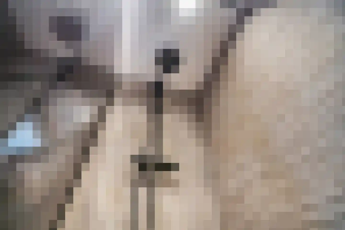 Gerard Douplantsoen 24 Voorschoten thumbnail 22