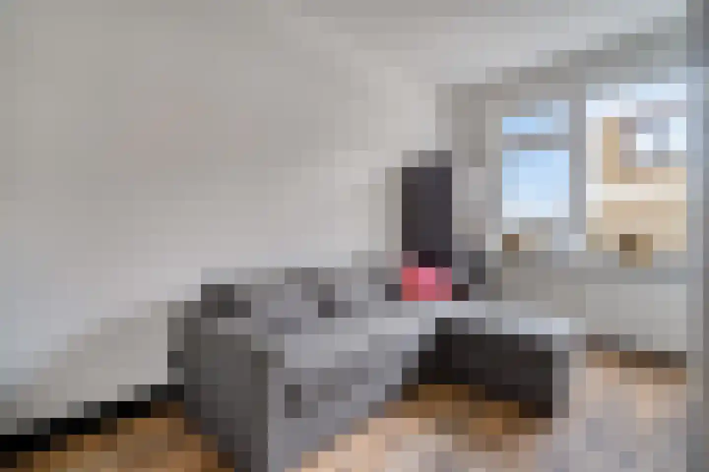 Gerard Douplantsoen 24 Voorschoten thumbnail 23