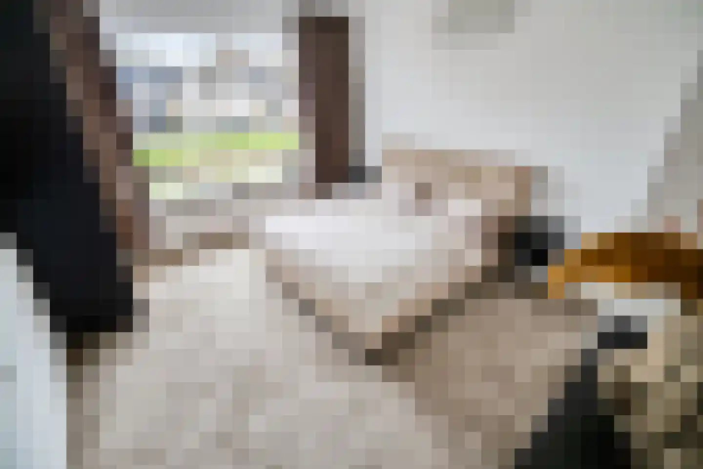 Gerard Douplantsoen 24 Voorschoten thumbnail 29