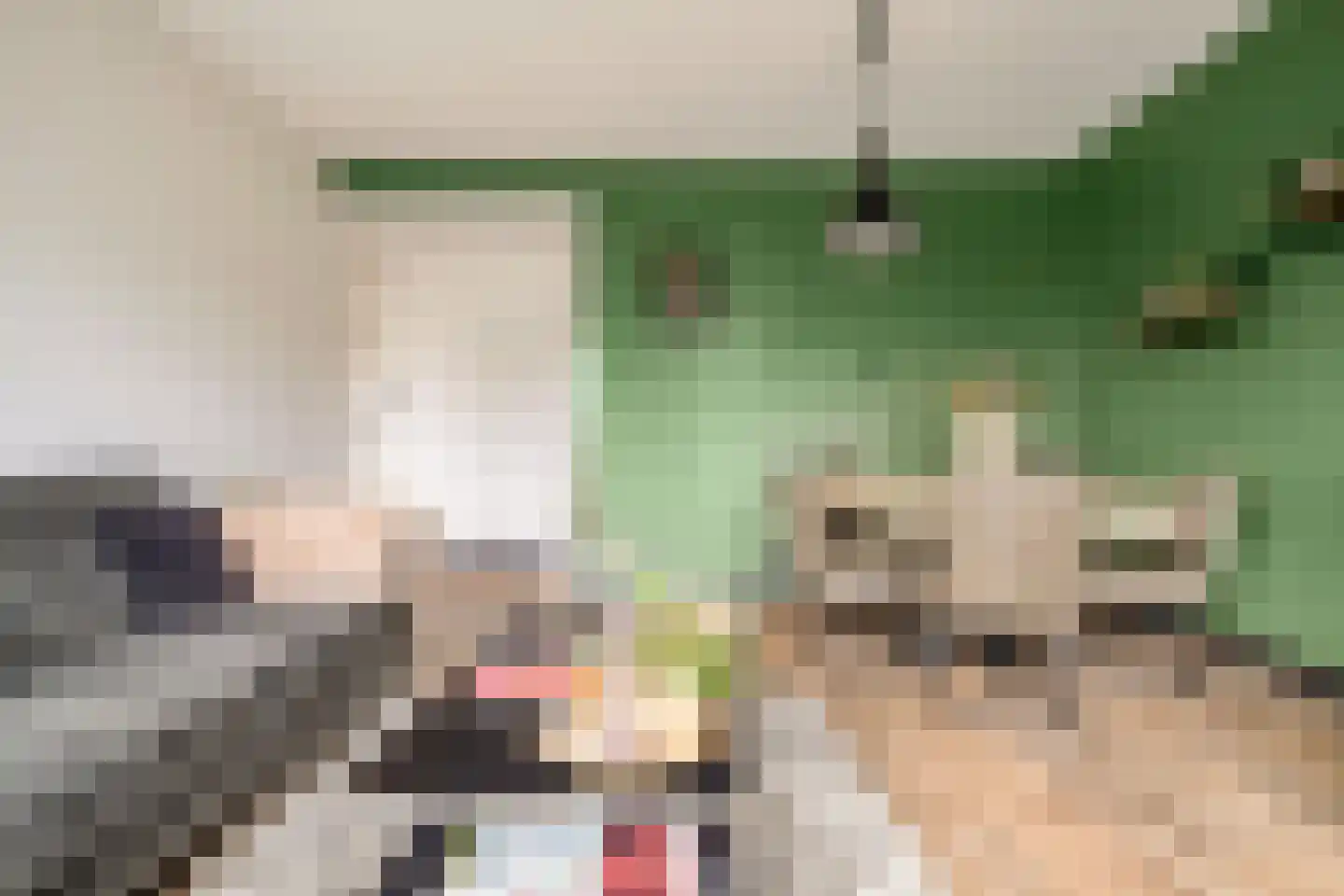 Gerard Douplantsoen 24 Voorschoten thumbnail 7