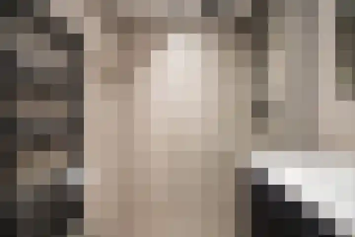 Gerard Douplantsoen 32 Voorschoten thumbnail 11