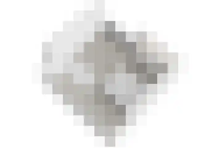 Gerard Douplantsoen 32 Voorschoten thumbnail 30