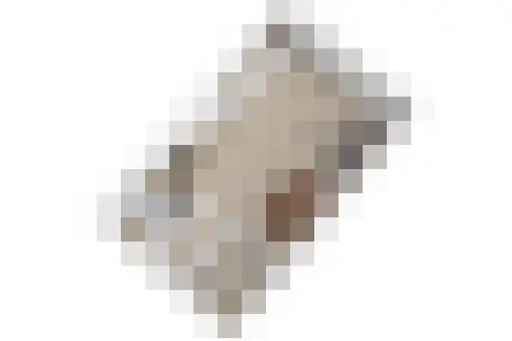 Gerard Douplantsoen 33 Voorschoten thumbnail 30